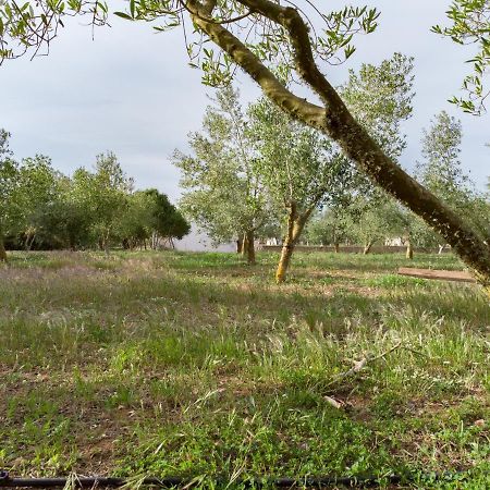 Agroturismo Malbuger Nou Menorca -Adults Only- Mahón Kültér fotó