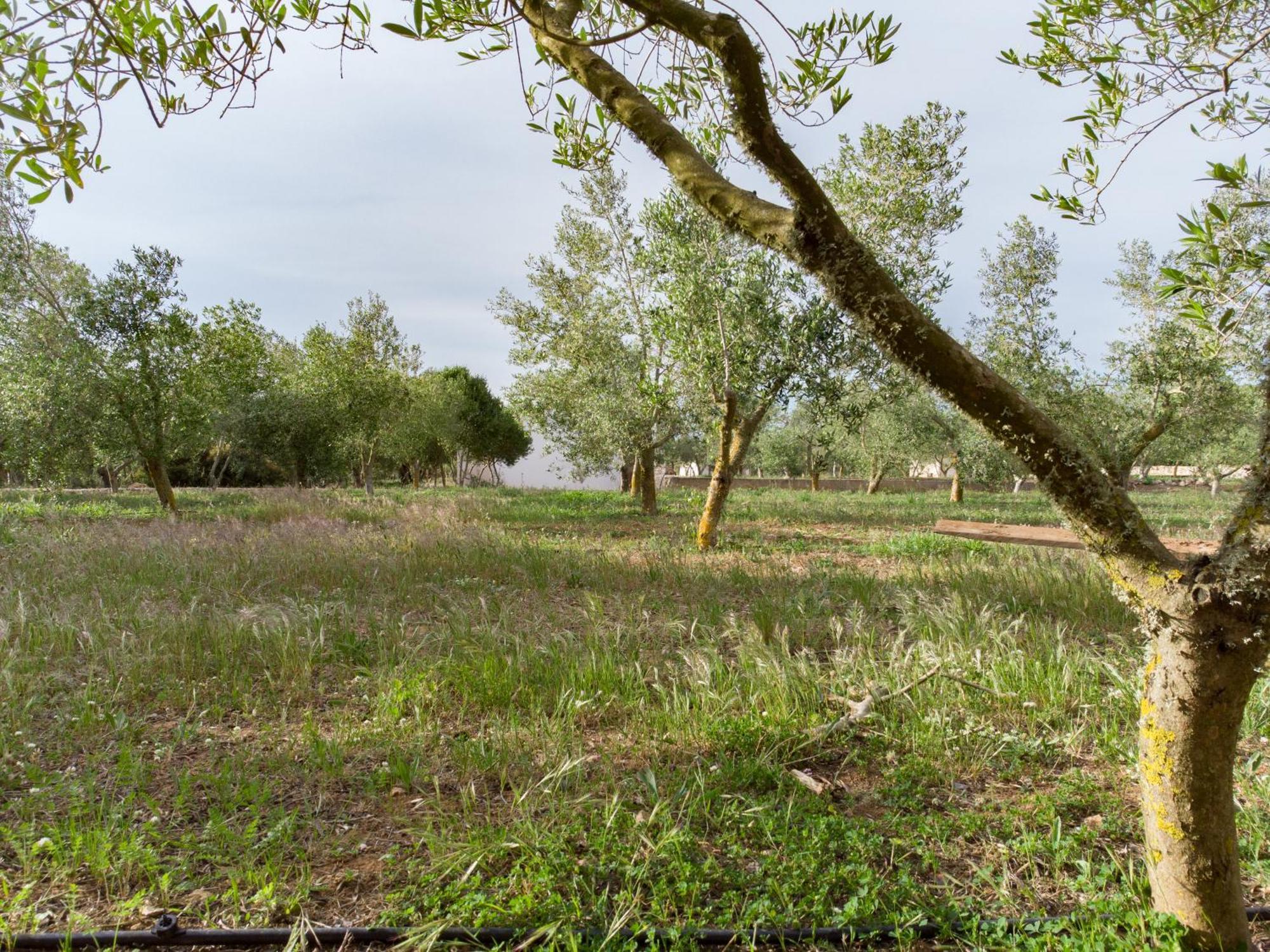Agroturismo Malbuger Nou Menorca -Adults Only- Mahón Kültér fotó